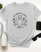 No drama LLama