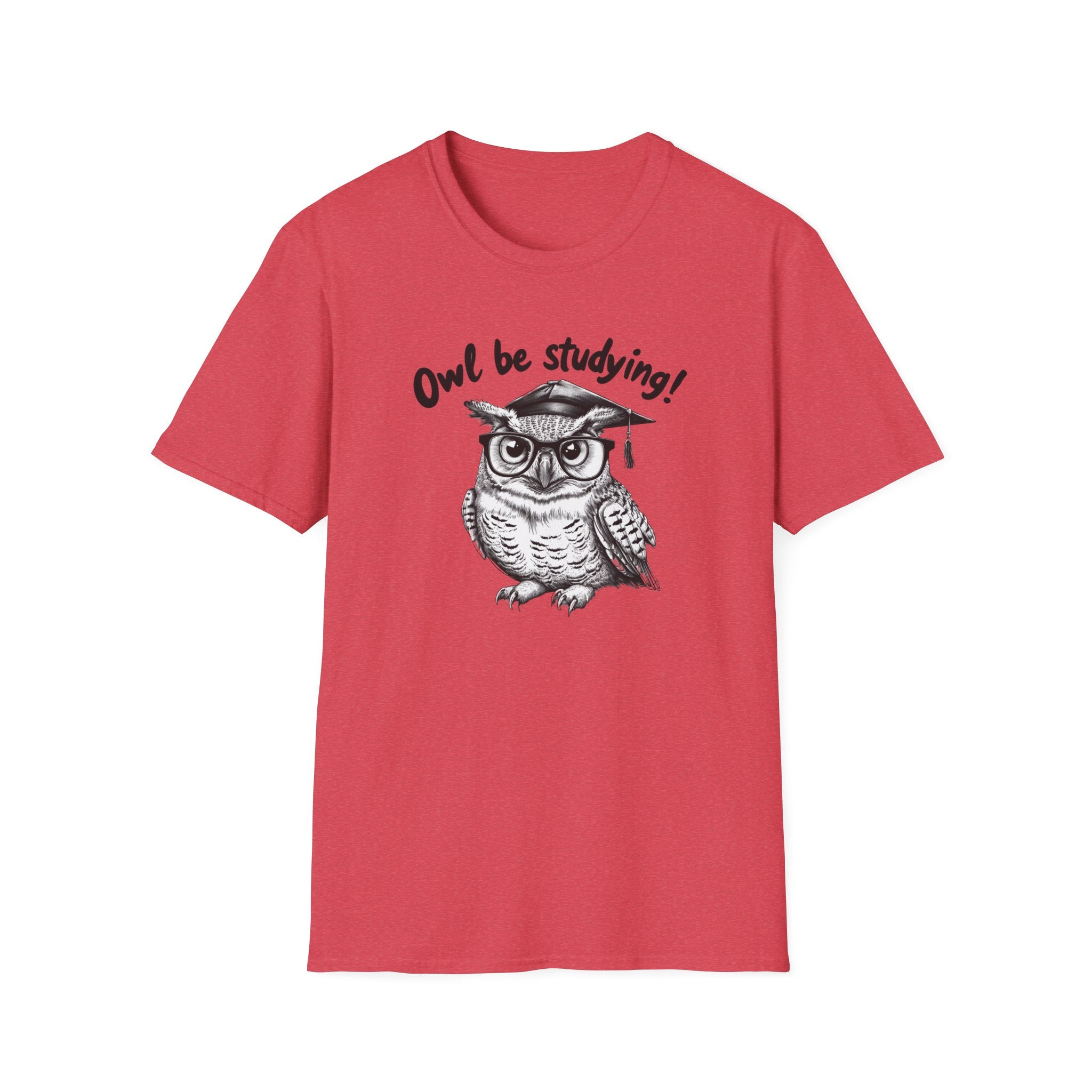 Studious Owl