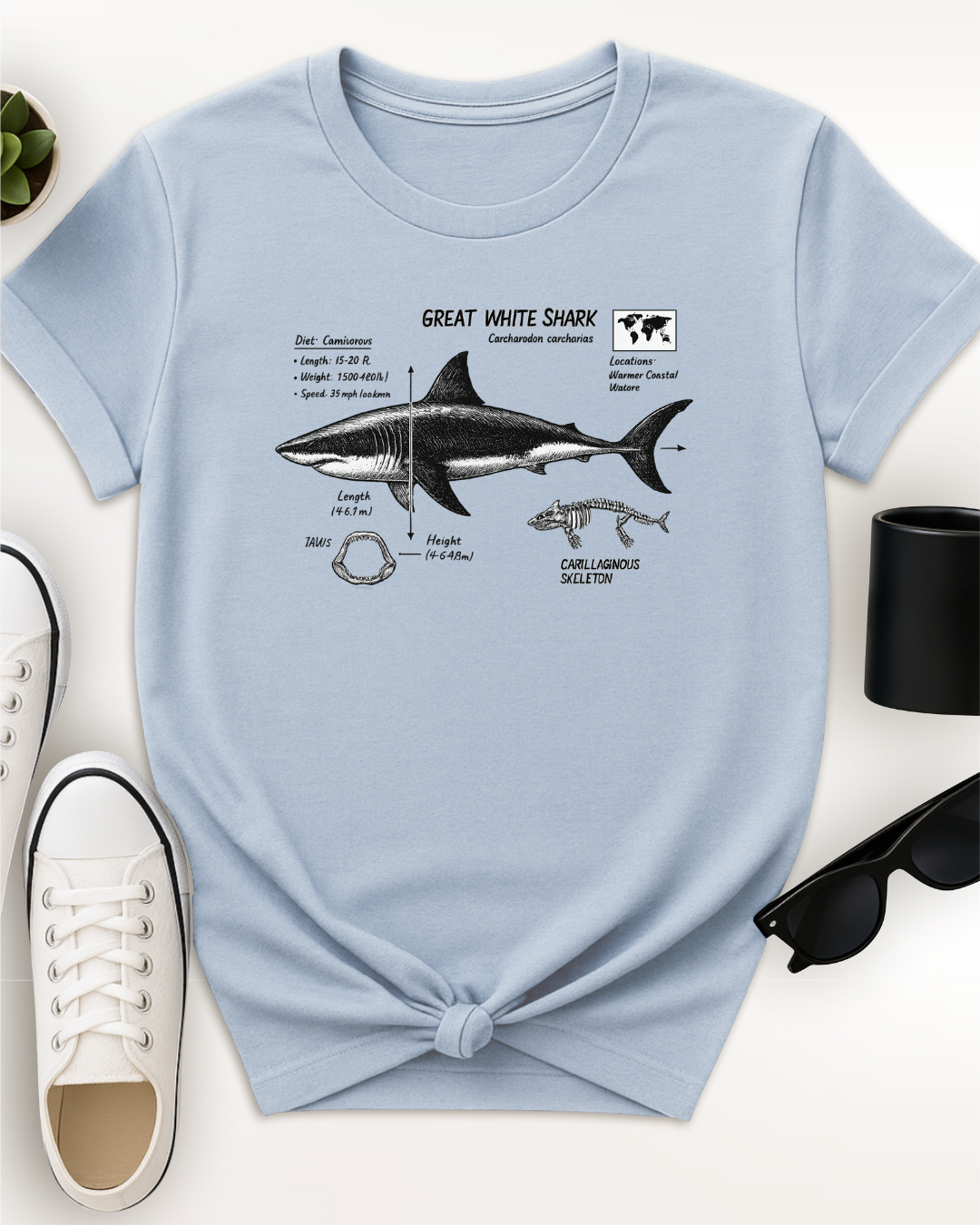 Shark Facts Tee